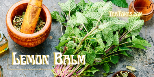 Smoking Lemon Balm: A Sensible Alternative to Tobacco or Weed