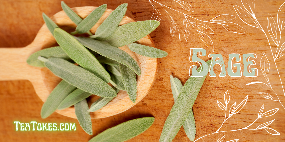 Sage: Discovering the Wisdom of Ancient Smokeable Varieties