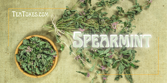 Spearmint: The Refreshing Staple of Herbal Smoking You Need to Know About