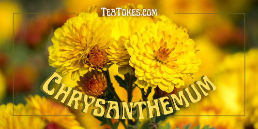 Unveiling Chrysanthemum: A Revered Eastern Blossom's Journey into Herbal Smoking