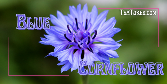 Blue Cornflower: An Azure Adventure in Herbal Smoking