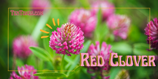 Red Clover Blossom & Leaf: A Verdant Voyage into Smoking Alternatives