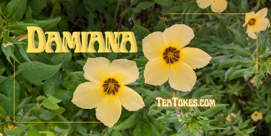 Ignite Your Passion: Discover the Magic of Smoking Damiana