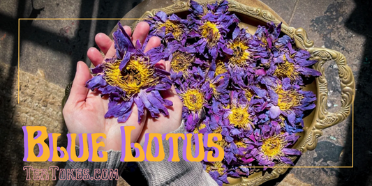 Wondering if Blue Lotus is a better smoking or vape alternative?