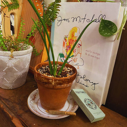 'Innerwork' - Ready Pack - Tea Tokes