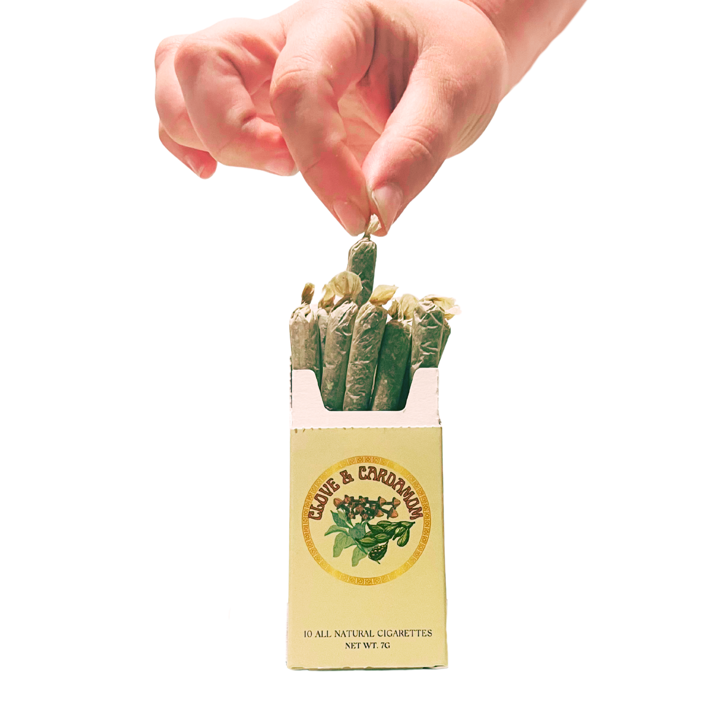 clove vs tobacco Two Clove Cigarettes On White Background Stock Photo 2700745521 Clove Cigarettes: Facts, Ingredients, Health